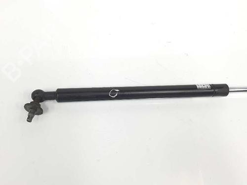 Hood lift support TOYOTA LAND CRUISER PRADO (_J12_) 3.0 D-4D (KDJ120, KDJ125) | BP14087119C139 