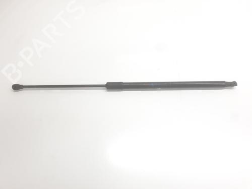 hood-lift-support-dacia-duster-pym_-pyn_-2023-34698776 main image