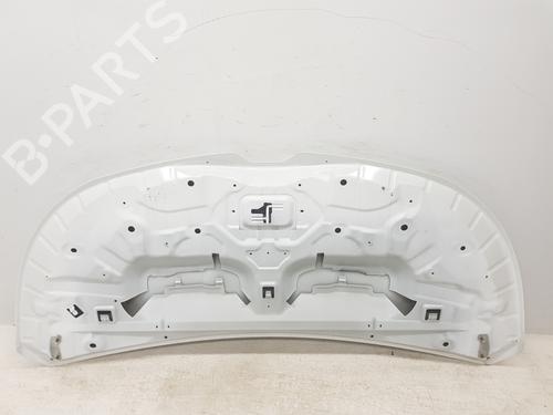 Hood RENAULT TRAFIC III Van (FG_) 1.6 dCi 140 (FGMA, FGMC) | BP30498572C1 