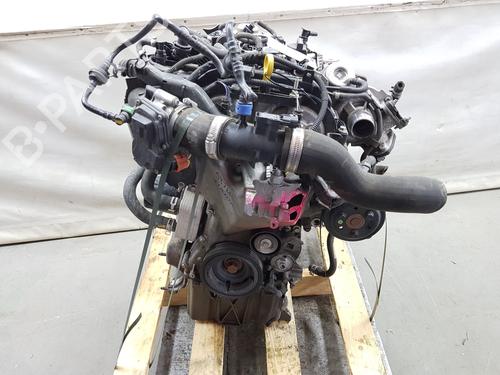 Engine FORD FIESTA VI (CB1, CCN)  | BP26155610M1 