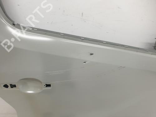 Right front door RENAULT TRAFIC III Bus (JG_)  | BP21003683C3 