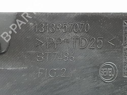 Glove box FIAT DUCATO Platform/Chassis (250_)  | BP36262523C95  - Image 6
