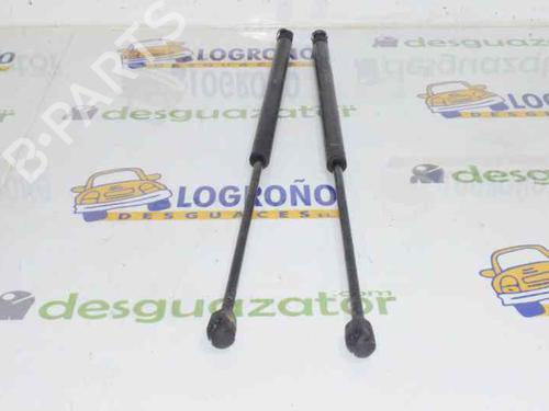 Hood lift support MINI MINI (R50, R53) Cooper S | BP14118155C139 