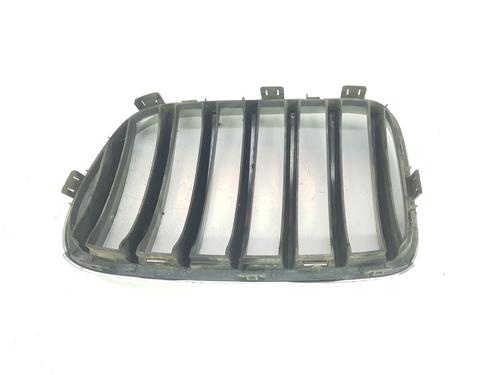 Grille BMW X3 (F25) xDrive 20 d | BP9851910C40 