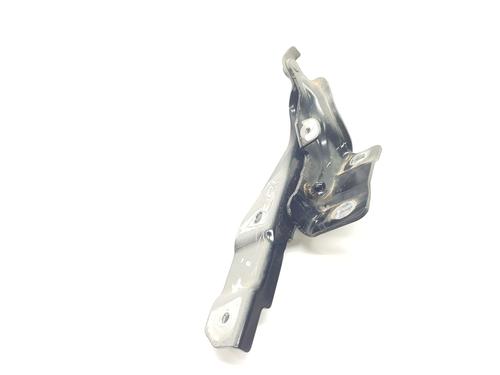 Used Hinge/Door check strap Hinge/Door check strap RENAULT ARKANA I (LCM_, LDN_) [2019-2026] 33187055 33187055
