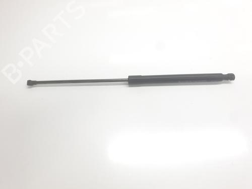 tailgate-lift-support-renault-arkana-i-lcm_-ldn_-2019-33861138 main image