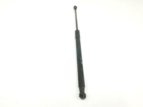 Tailgate lift support BMW 1 (F20) 114 d | BP17960104C138 