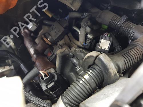 Motor FORD TRANSIT CUSTOM V362 Bus (F3) 2.0 EcoBlue | BP30549029M1 