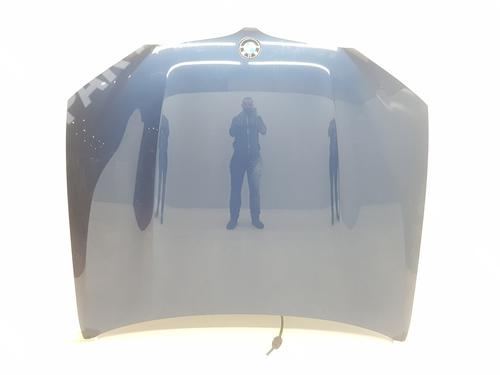 Used Hood Hood BMW X4 (G02, F98) M (480 hp) 11018230 11018230