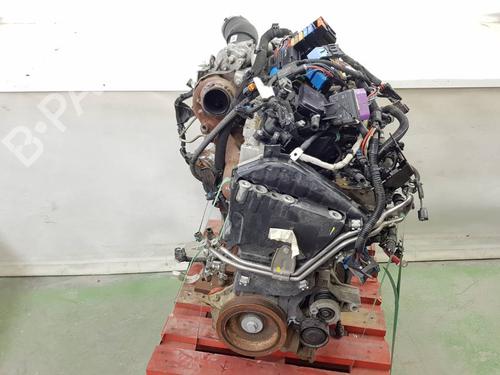 Engine RENAULT EXPRESS Box Body/MPV | BP40256968M1 - Image 11