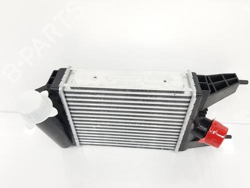 Intercooler NISSAN JUKE (F15) 1.2 DIG-T | BP9624010M30 