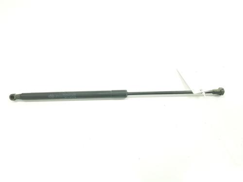 Tailgate lift support NISSAN QASHQAI / QASHQAI +2 I (J10, NJ10, JJ10E) 2.0 dCi All-wheel Drive | BP16895781C138 