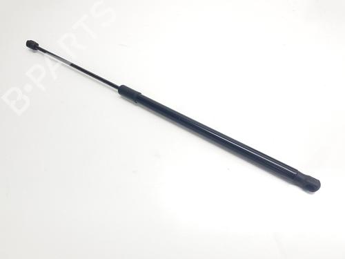 Tailgate lift support SKODA KAMIQ (NW4) 1.0 TSI | BP31346142C138