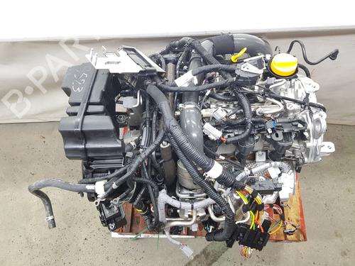 Used Engine RENAULT AUSTRAL [2022-2026]  32428186