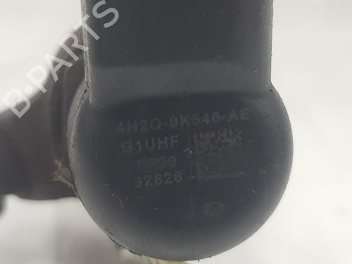Injector LAND ROVER DISCOVERY III (L319) 2.7 TD 4x4 | BP20186819M100 