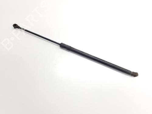 Tailgate lift support SEAT ARONA (KJ7, KJP)  | BP29204478C138 