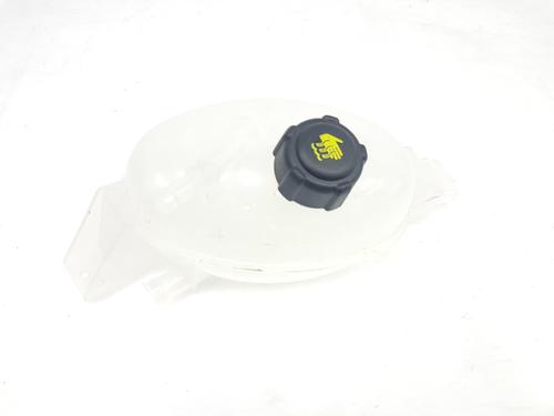 Expansion tank RENAULT MASTER III Platform/Chassis (EV, HV, UV) 2.3 dCi 145 FWD (EV0E, EV0F, HV0E, HV0F, UV0E, UV0F,... 217100015R | 217100015R |