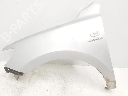 Used Left front fenders HYUNDAI SANTA FÉ II (CM) 2.2 CRDi (155 hp) 13505671