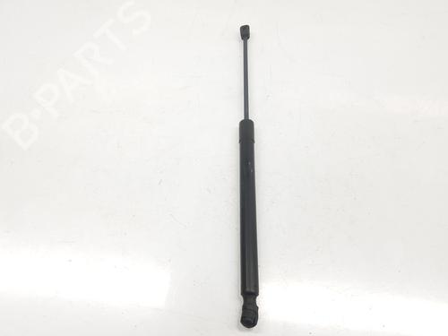 Tailgate lift support AUDI Q7 (4LB) 4.2 TDI quattro | BP14104776C138 