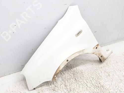 Left front fenders FIAT PANDA (169_) 1.2 4x4 (169.AXB2A) | BP21757692C41 