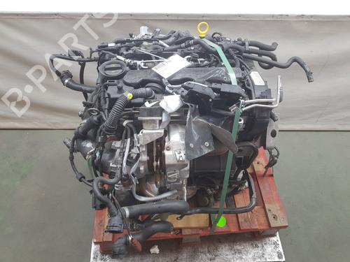 Engine VW GOLF VII (5G1, BQ1, BE1, BE2) 2.0 TDI | BP13716919M1 