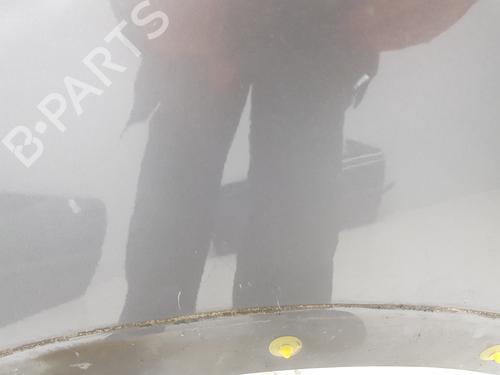 Left front fenders RENAULT SCÉNIC III (JZ0/1_)  | BP26214809C41 