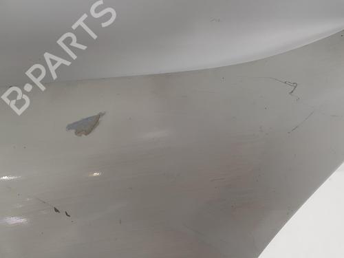 Left front fenders RENAULT KANGOO (KC0/1_) 1.5 dCi (KC07) | BP12141870C41 