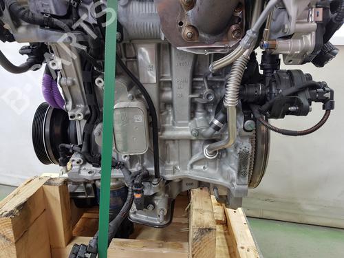 Engine FIAT 600e / 600 (365_, 364_) | BP32236920M1