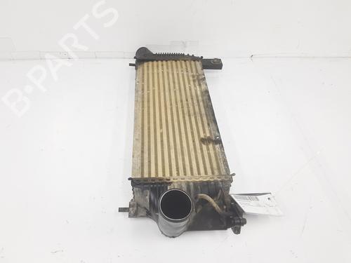 Intercooler NISSAN PATHFINDER III (R51) 2.5 dCi 4WD | BP10412689M30 