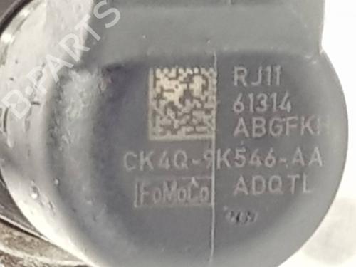 Injector FORD RANGER (TKE) 3.2 TDCi 4x4 | BP31842109M100