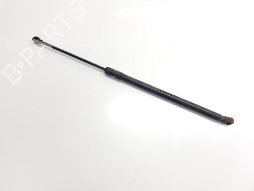 Tailgate lift support SEAT ARONA (KJ7, KJP)  | BP29204478C138 