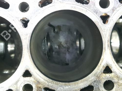 Other RENAULT KOLEOS I (HY_) 2.0 dCi 4x4 (HY0K) | BP25818079O1 