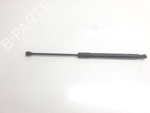 tailgate-lift-support-dacia-sandero-iii-2021-32364400 main image