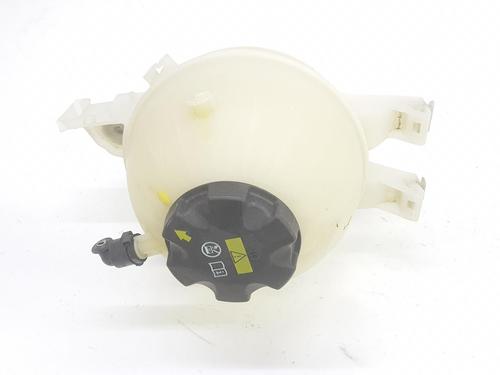 Expansion tank BMW X3 (G01, F97) xDrive 30d (265 hp) 11977414