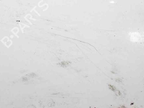 Hood FORD FOCUS I (DAW, DBW) 1.8 DI / TDDi | BP1193672C1 