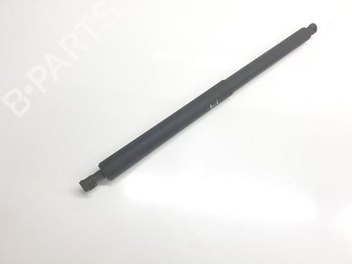 Tailgate lift support BMW X1 (F48) sDrive 18 d | BP22334673C138 