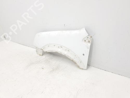 Left front fenders FORD TRANSIT CONNECT (P65_, P70_, P80_) 1.8 Di | BP16082694C41 