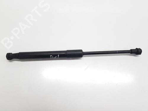 hood-lift-support-audi-q5-8rb-2008-2009-2010-2011-2012-2013-2014-2015-2016-2017-2018-2019-32139907 main image