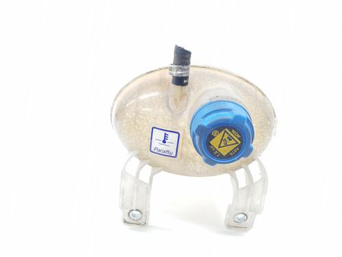 Used Expansion tank FIAT 500L (351_, 352_) 1.6 D Multijet (199LYD1B) (105 hp) 29183793