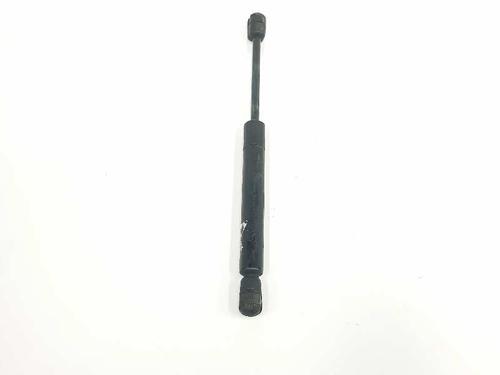 Hood lift support AUDI TT (8N3) 1.8 T | BP14083741C139 