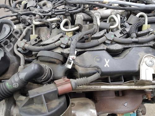 Engine AUDI Q5 (FYB, FYG) 2.0 TDI | BP35954982M1 - Image 2