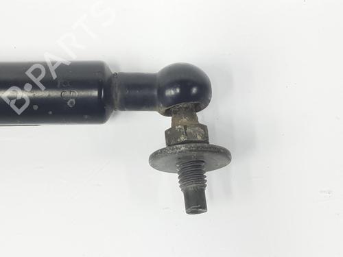 Hood lift support TOYOTA LAND CRUISER PRADO (_J12_) 3.0 D-4D (KDJ120, KDJ125) | BP14118679C139 