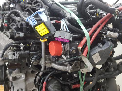 Engine NISSAN NV300 Van (X82)  | BP31840865M1 