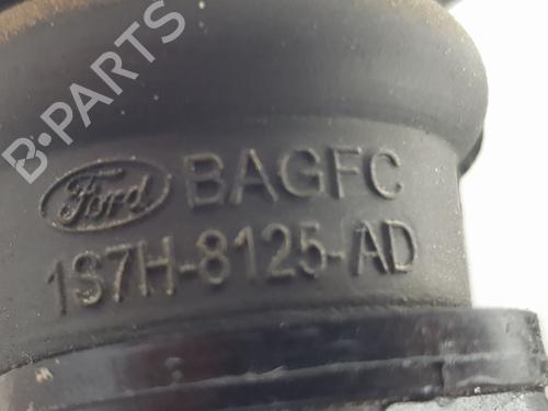 Water radiator FORD TRANSIT V363 Platform/Chassis (FED, FFD)  | BP31593709M31 