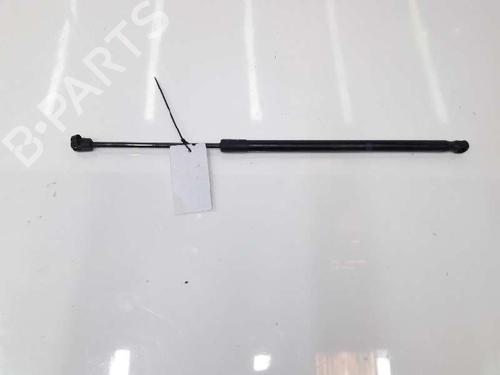 Used Hood lift support MERCEDES-BENZ C-CLASS (W204) C 220 CDI (204.008) (170 hp) 14072587