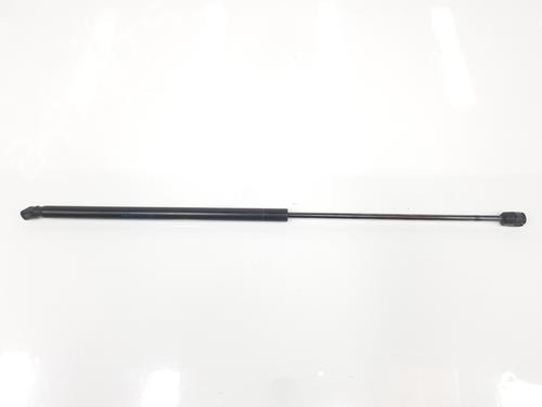 Used Tailgate lift support LANCIA DELTA III (844_) 1.6 D Multijet (844.AXC11, 844.AXC1A) (120 hp) 19111551