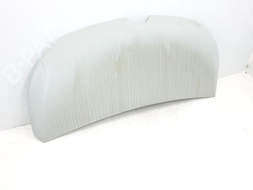 Hood RENAULT TRAFIC III Van (FG_) 1.6 dCi 140 (FGMA, FGMC) | BP29955813C1