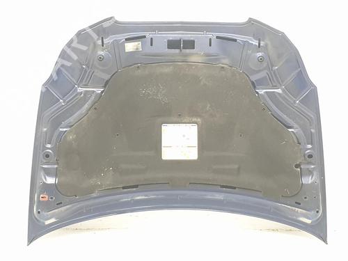 Hood LANCIA DELTA III (844_) 1.6 D Multijet (844.AXC11, 844.AXC1A) | BP16922992C1 