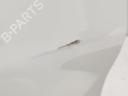 Left rear door RENAULT TRAFIC III Van (FG_)  | BP16198263C4 