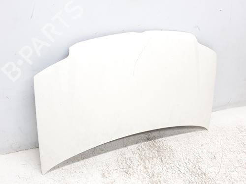 Hood FIAT PANDA (169_) 1.2 4x4 (169.AXB2A) | BP19098261C1